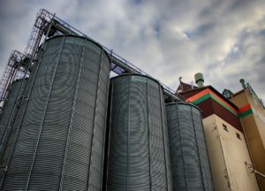 Zemědělství